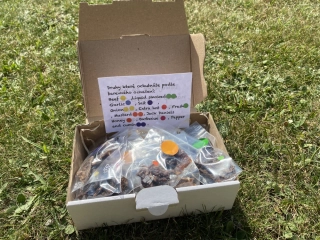 Hovězí jerky- Degustační balíček